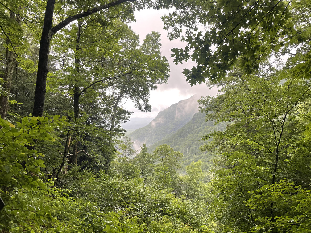 Surprise view of Platte Clove