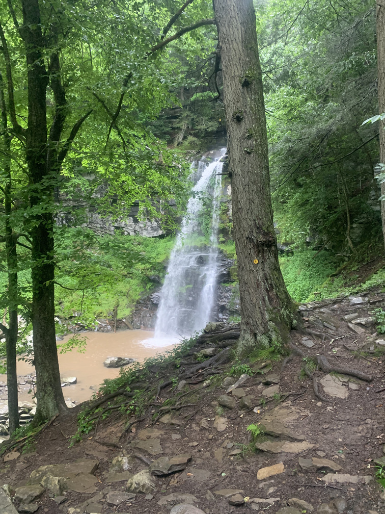 Waterfall View