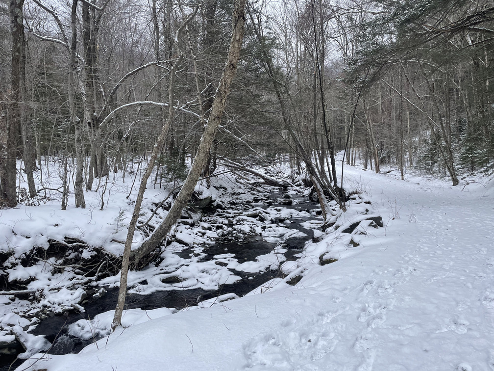 Snowy stream by the carriage road