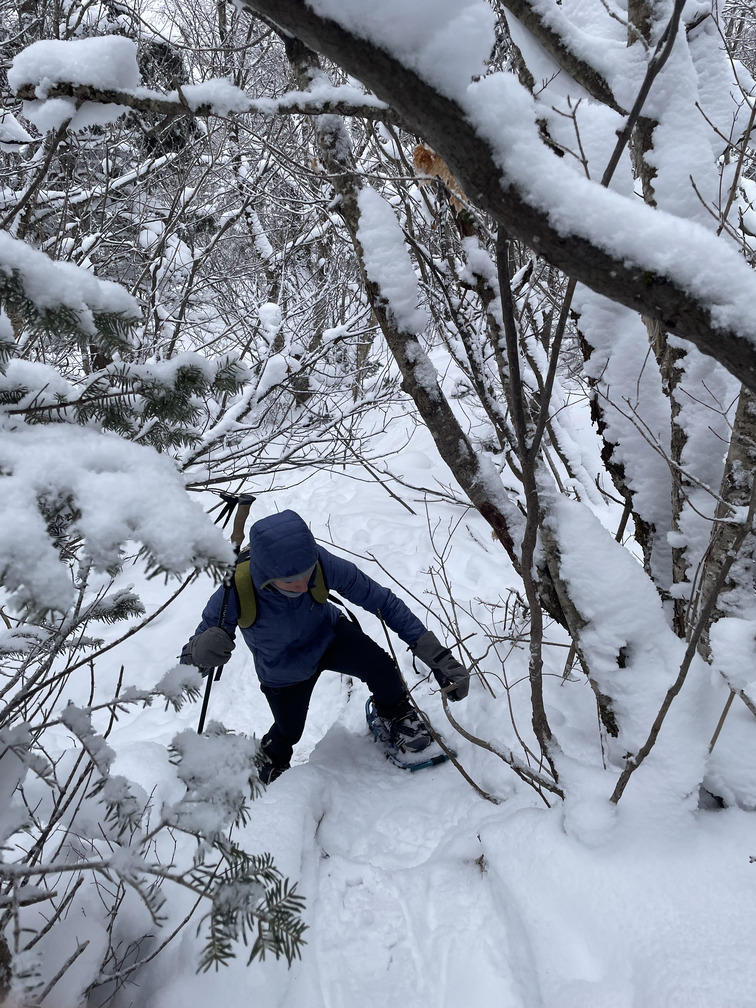 Alex climbing