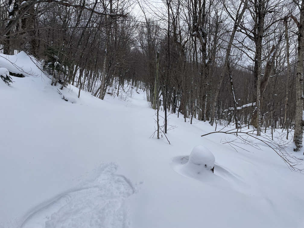 Snowman on the path