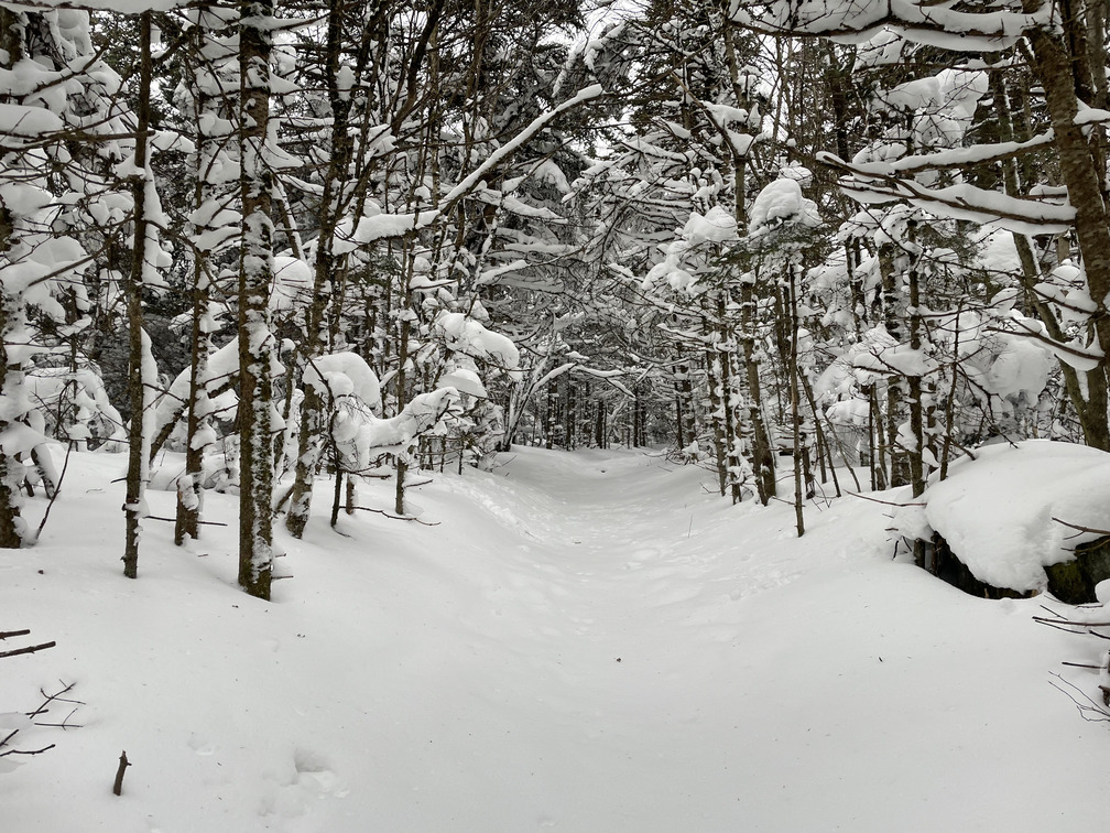 Snow globe