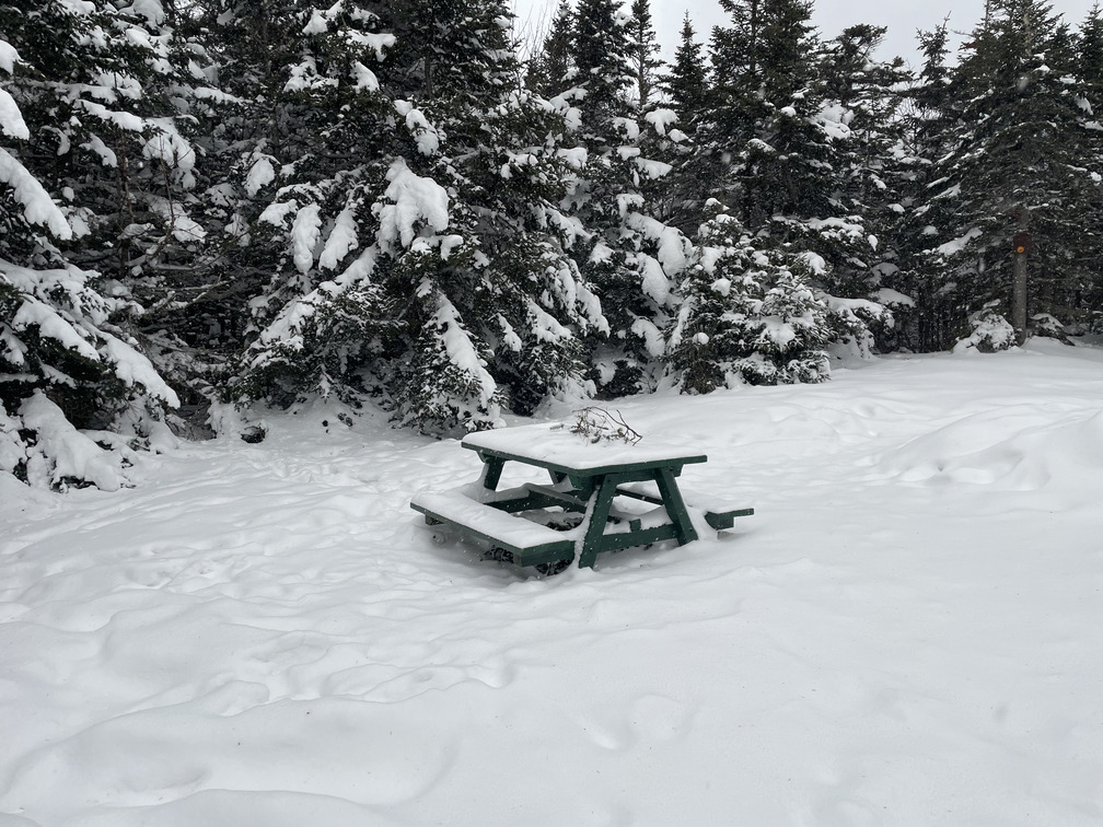 Calm bench