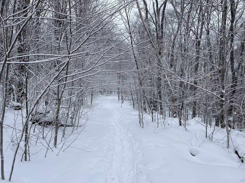 Light snow at the end