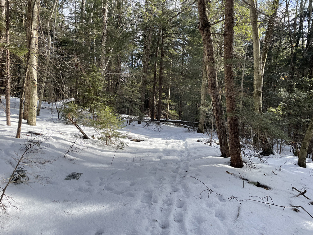 Clear tracks