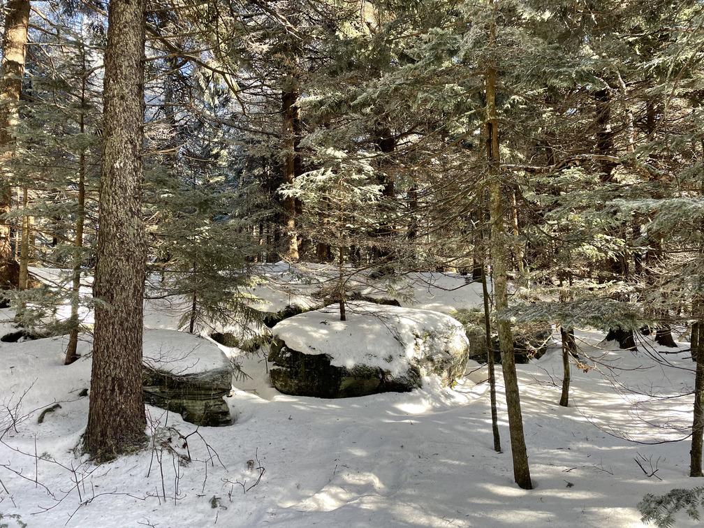 Roundtop Summit