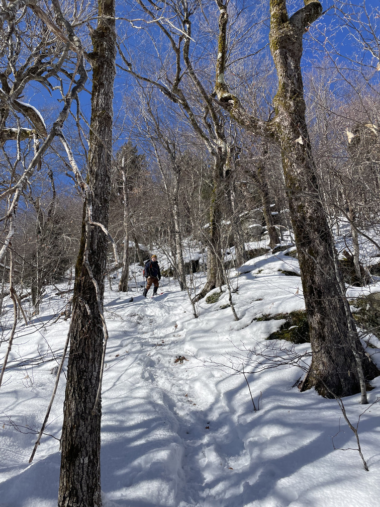 Descent from Roundtop