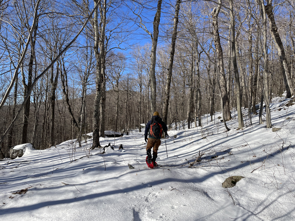 Snowmobile track