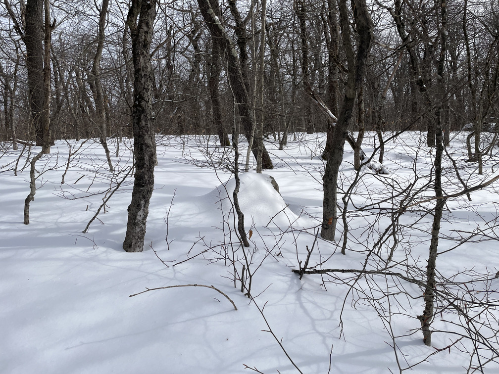 Possible summit cairn