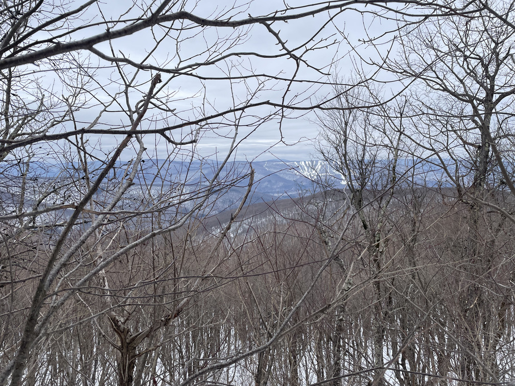 Partial viewpoint looking towards Belleayre