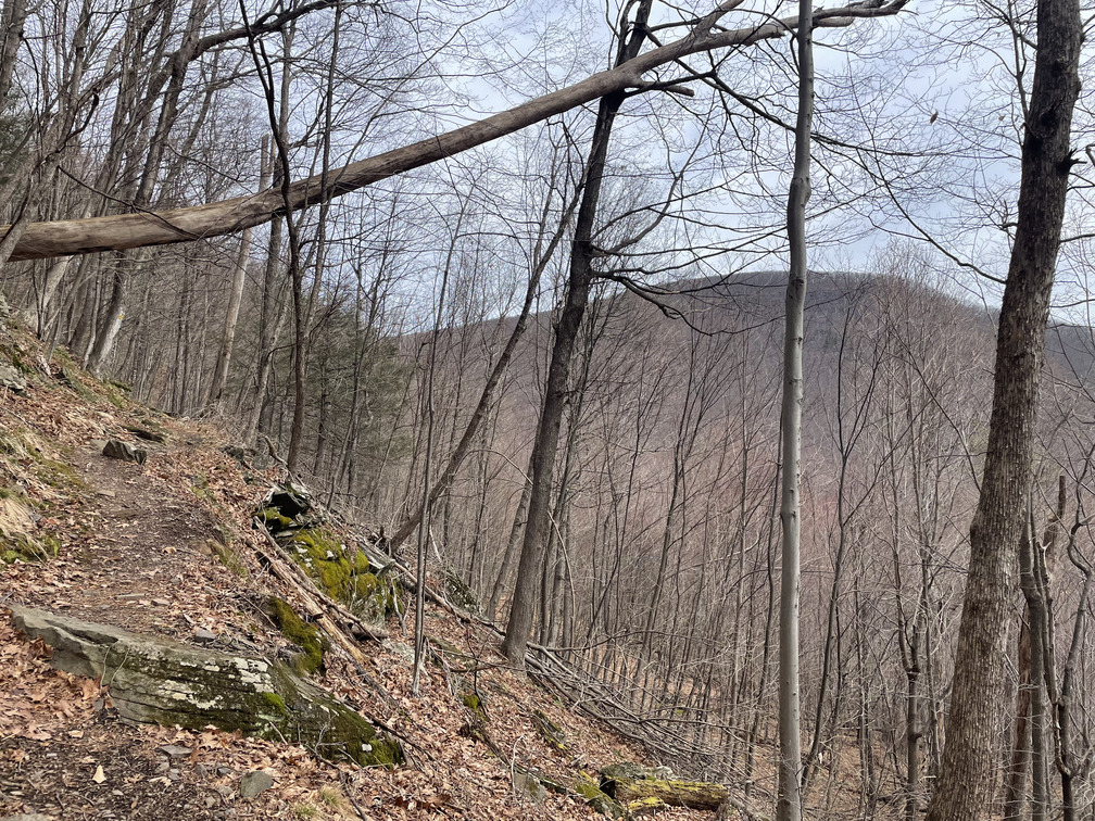 View of Carl Mountain