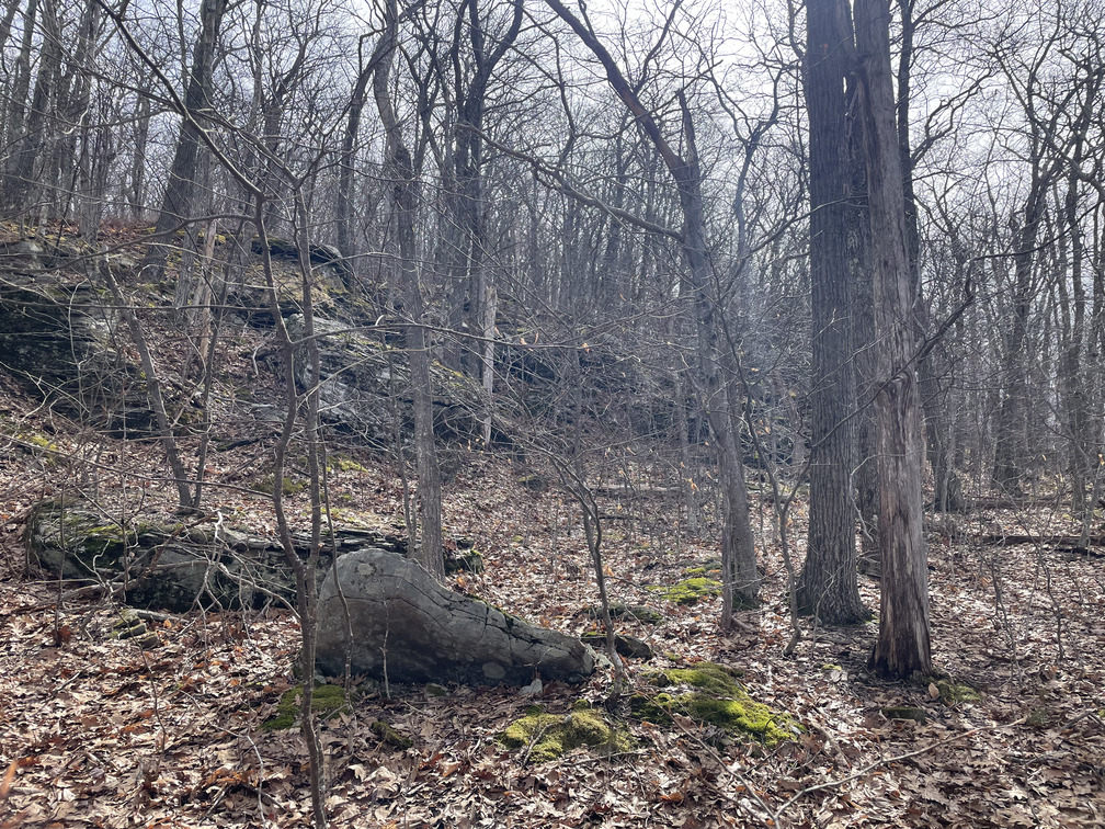 Ledges on Carl bushwhack