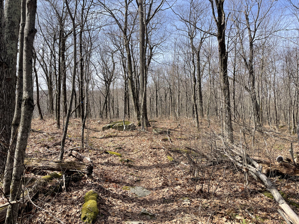 Open trail to Tremper