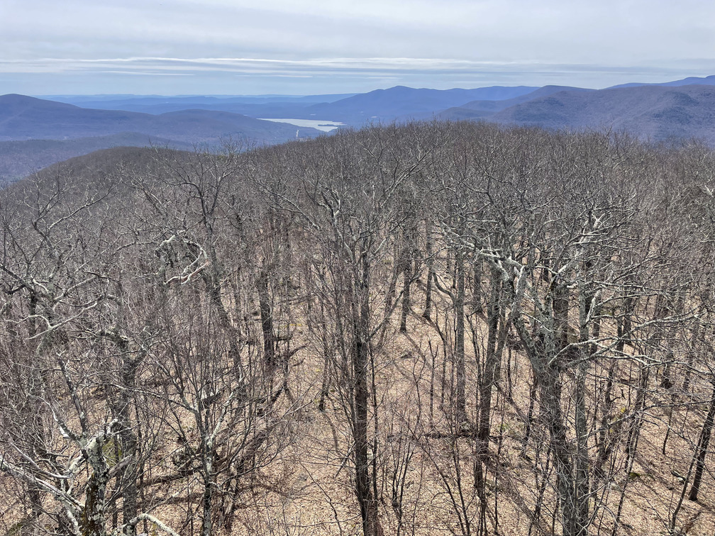 View from Fire Tower